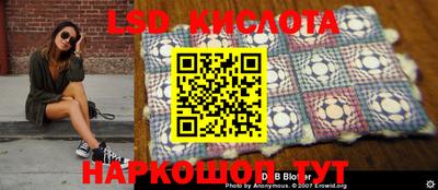 ПСИЛОЦИБИНОВЫЕ ГРИБЫ Новокубанск