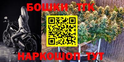 мдпв Новозыбков