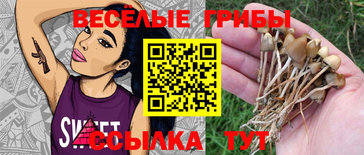 Семилуки  Псилоцибиновые грибы Magic Shrooms  Вход с VPN 