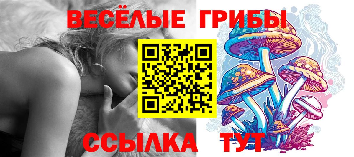 Галлюциногенные грибы Psilocybine cubensis Семилуки